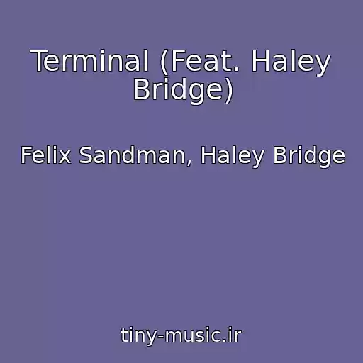 کاور آهنگ Terminal (Feat. Haley Bridge) از Felix Sandman, Haley Bridge