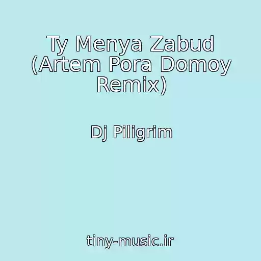 کاور آهنگ Ty Menya Zabud (Artem Pora Domoy Remix) از Dj Piligrim