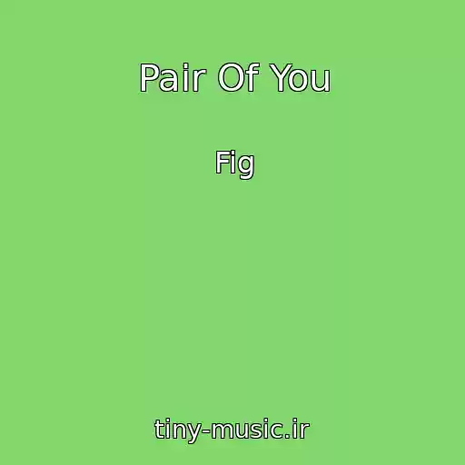کاور آهنگ Pair Of You از Fig