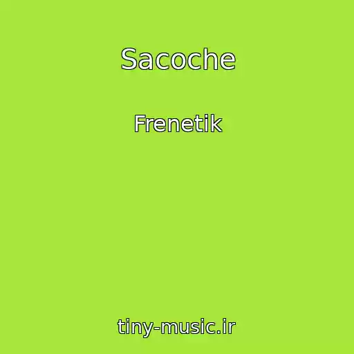 کاور آهنگ Sacoche از Frenetik