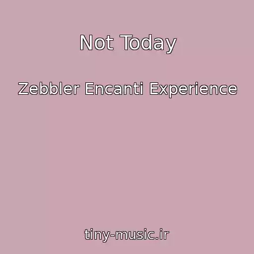 کاور آهنگ Not Today از Zebbler Encanti Experience