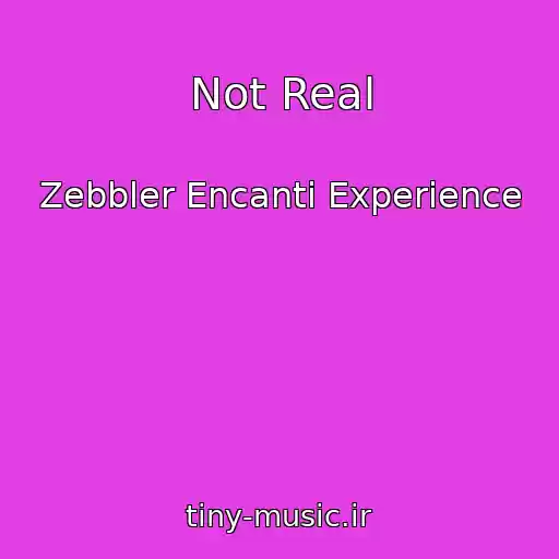 کاور آهنگ Not Real از Zebbler Encanti Experience