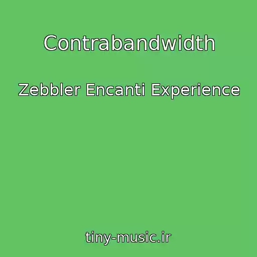 کاور آهنگ Contrabandwidth از Zebbler Encanti Experience