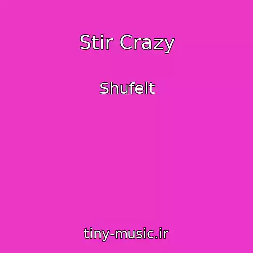 کاور آهنگ Stir Crazy از Shufelt