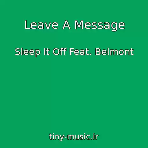 کاور آهنگ Leave A Message از Sleep It Off Feat. Belmont