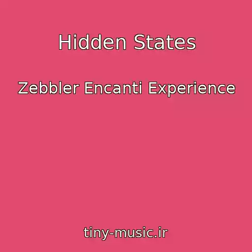 کاور آهنگ Hidden States از Zebbler Encanti Experience
