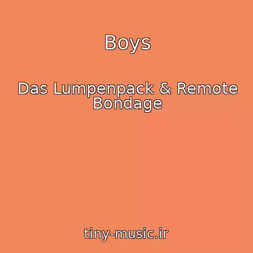 کاور آهنگ Boys از Das Lumpenpack & Remote Bondage