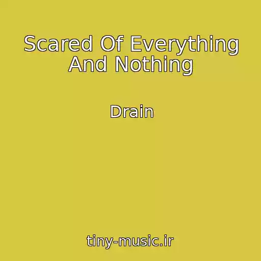کاور آهنگ Scared Of Everything And Nothing از Drain