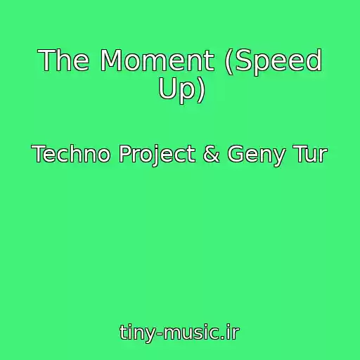 کاور آهنگ The Moment (Speed Up) از Techno Project & Geny Tur