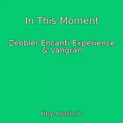 کاور آهنگ In This Moment از Zebbler Encanti Experience & Vangran