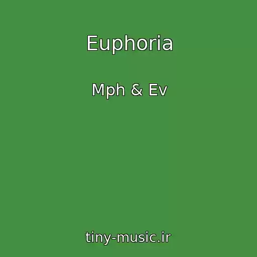 کاور آهنگ Euphoria از Mph & Ev