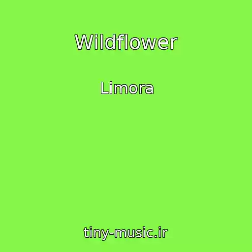 کاور آهنگ Wildflower از Limora