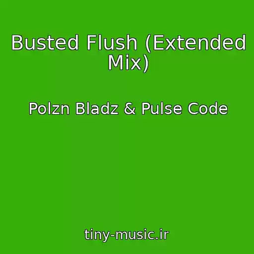 کاور آهنگ Busted Flush (Extended Mix) از Polzn Bladz & Pulse Code