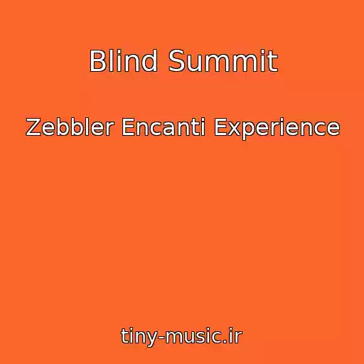 کاور آهنگ Blind Summit از Zebbler Encanti Experience