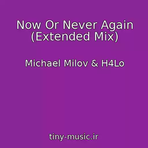کاور آهنگ Now Or Never Again (Extended Mix) از Michael Milov & H4Lo