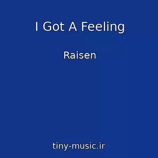کاور آهنگ I Got A Feeling از Raisen