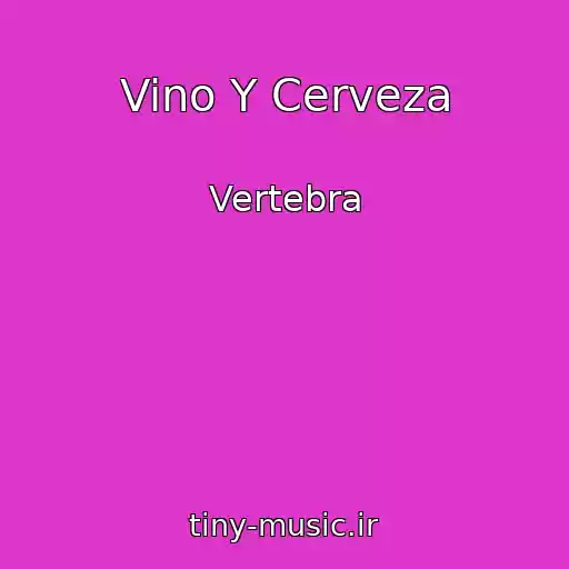 کاور آهنگ Vino Y Cerveza از Vertebra