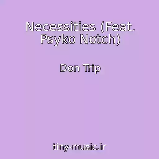 کاور آهنگ Necessities (Feat. Psyko Notch) از Don Trip