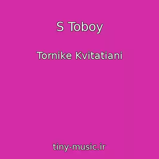 کاور آهنگ S Toboy از Tornike Kvitatiani