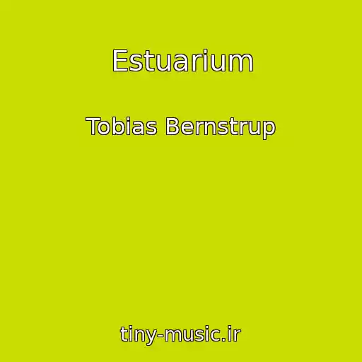 کاور آهنگ Estuarium از Tobias Bernstrup
