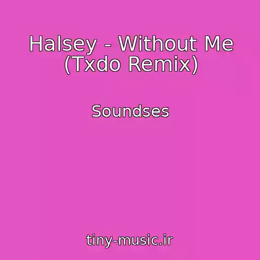 کاور آهنگ Halsey - Without Me (Txdo Remix) از Soundses