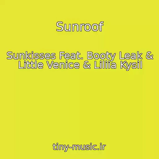 کاور آهنگ Sunroof از Sunkisses Feat. Booty Leak & Little Venice & Liliia Kysil