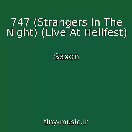 کاور آهنگ 747 (Strangers In The Night) (Live At Hellfest) از Saxon