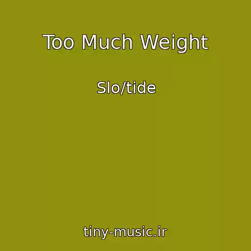 کاور آهنگ Too Much Weight از Slo/tide