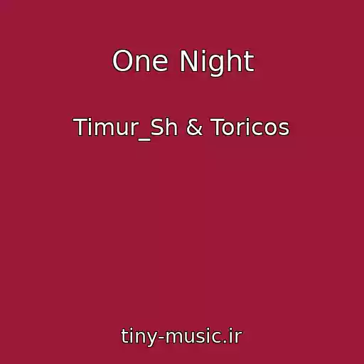 کاور آهنگ One Night از Timur_Sh & Toricos