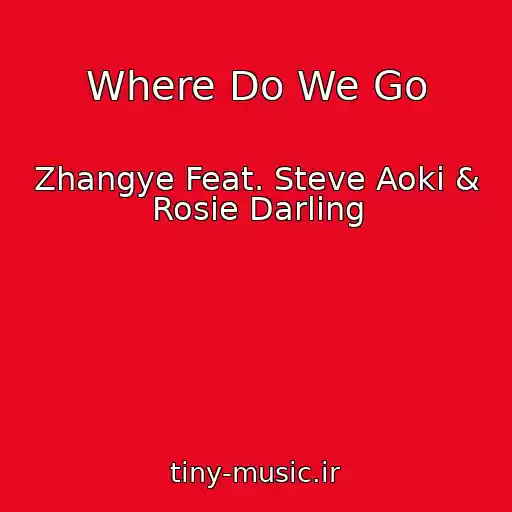 کاور آهنگ Where Do We Go از Zhangye Feat. Steve Aoki & Rosie Darling
