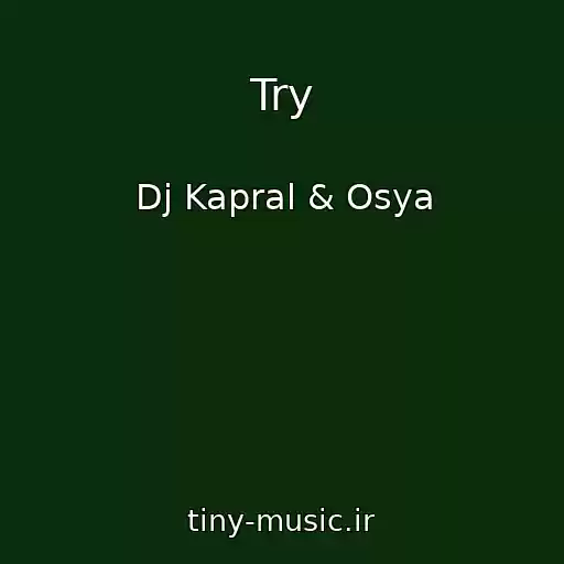 کاور آهنگ Try از Dj Kapral & Osya