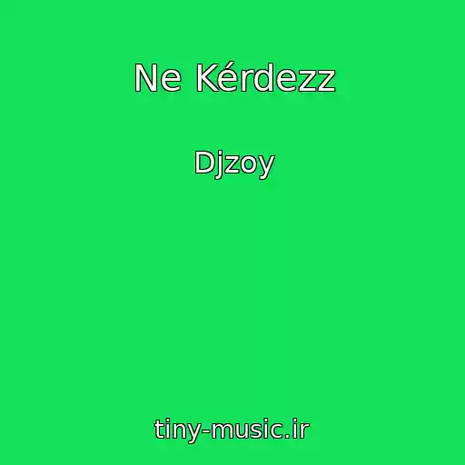 کاور آهنگ Ne Kérdezz از Djzoy