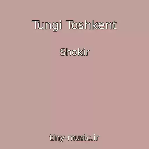 کاور آهنگ Tungi Toshkent از Shokir