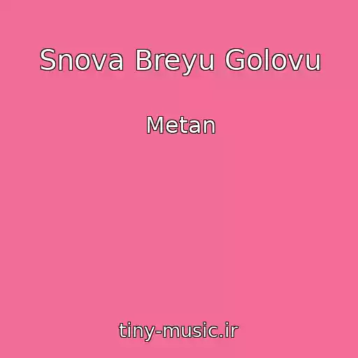 کاور آهنگ Snova Breyu Golovu از Metan