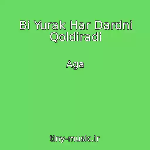 کاور آهنگ Bi Yurak Har Dardni Qoldiradi از Aga