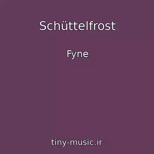 کاور آهنگ Schüttelfrost از Fyne