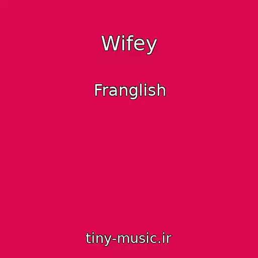 کاور آهنگ Wifey از Franglish