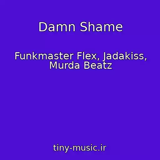 کاور آهنگ Damn Shame از Funkmaster Flex, Jadakiss, Murda Beatz