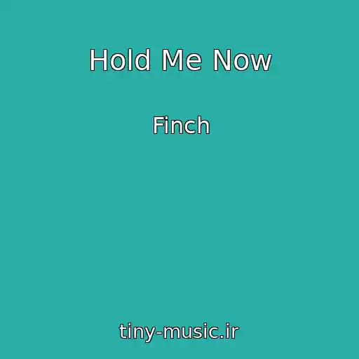 کاور آهنگ Hold Me Now از Finch