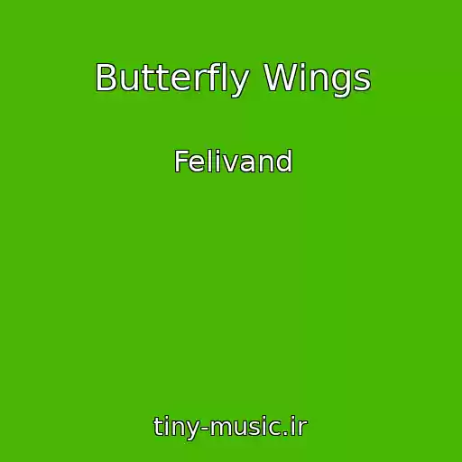 کاور آهنگ Butterfly Wings از Felivand