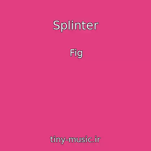 کاور آهنگ Splinter از Fig