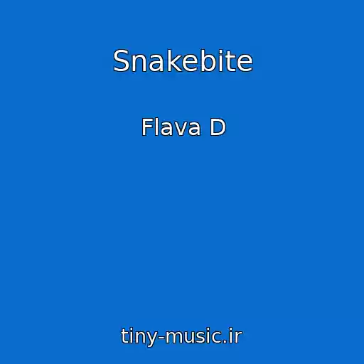 کاور آهنگ Snakebite از Flava D