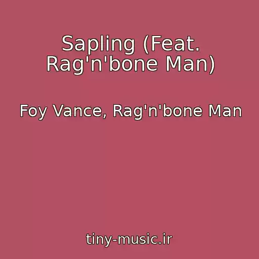 کاور آهنگ Sapling (Feat. Rag'n'bone Man) از Foy Vance, Rag'n'bone Man