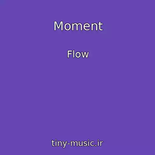 کاور آهنگ Moment از Flow