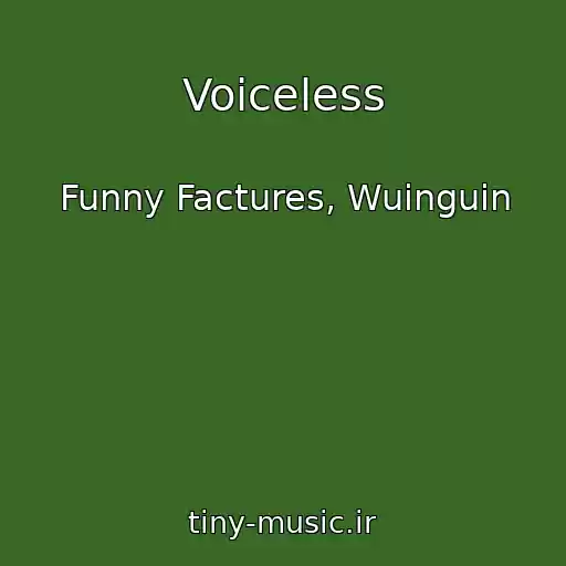 کاور آهنگ Voiceless از Funny Factures, Wuinguin