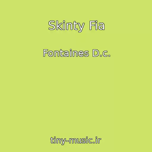 کاور آهنگ Skinty Fia از Fontaines D.c.