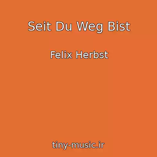 کاور آهنگ Seit Du Weg Bist از Felix Herbst