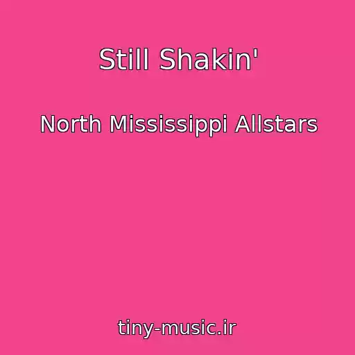 کاور آهنگ Still Shakin' از North Mississippi Allstars