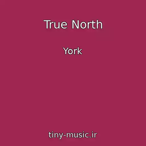 کاور آهنگ True North از York