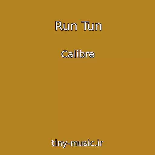 کاور آهنگ Run Tun از Calibre